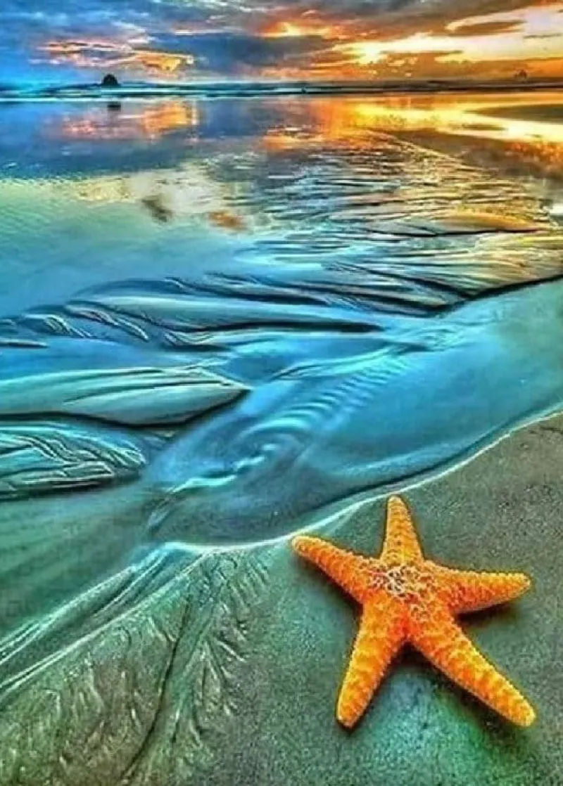 NORIMPEX Diamentowa mozaika Rozgwiazda na plaży 30x40cm 1007417