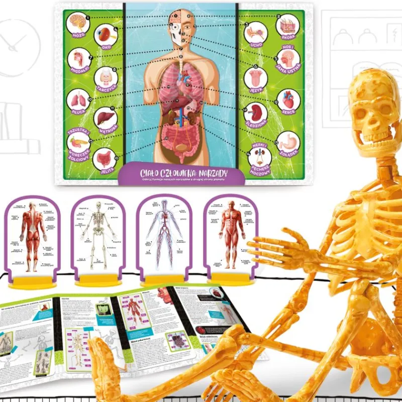 LISCIANI GIOCHI I'm a Genius Science Poznaj ciało człowieka PL100224 LISCIANI