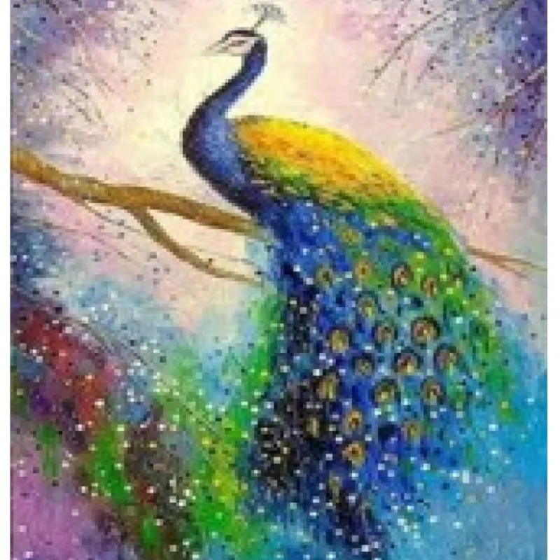NORIMPEX Malowanie po numerach Paw na gałęzi 40x50cm 1005712