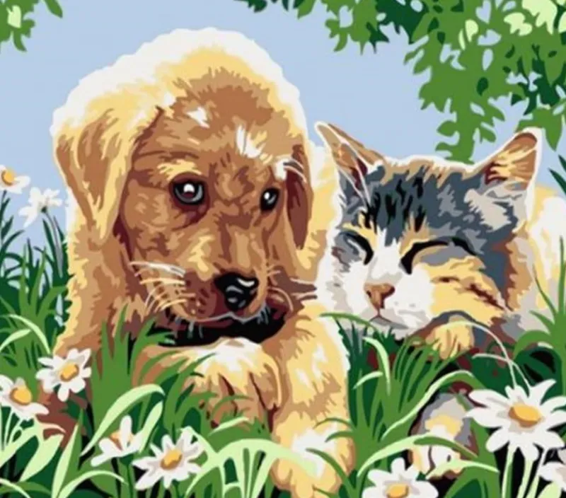 NORIMPEX Malowanie po numerach Pies i kot, sen na łące 40x50cm 1008935