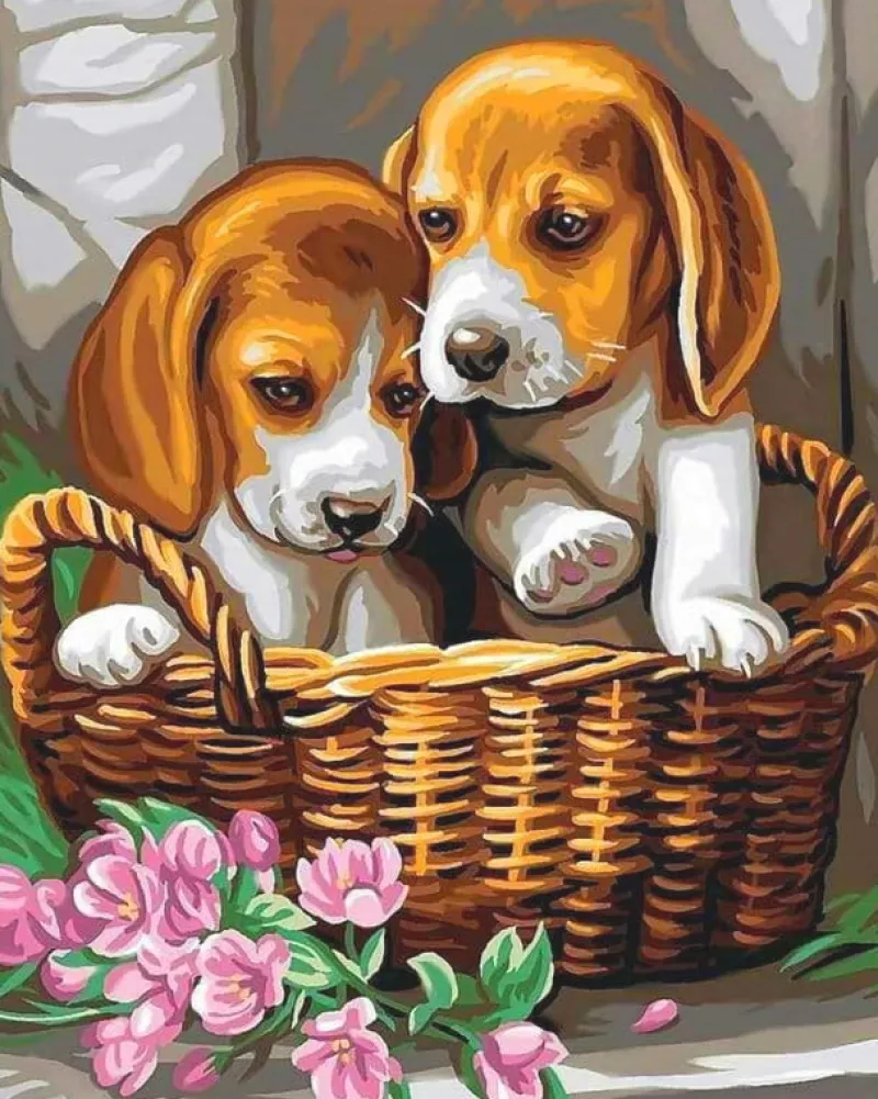 NORIMPEX Malowanie po numerach Szczeniaki w koszyku 50x40cm 1007478