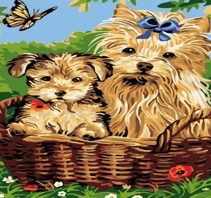 NORIMPEX PROMO Malowanie po numerach Pieski w wiklinowym koszu 40x50cm 1008941