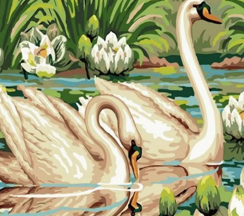 NORIMPEX PROMO Malowanie po numerach Łabędzie na stawie 40x50cm 1008939