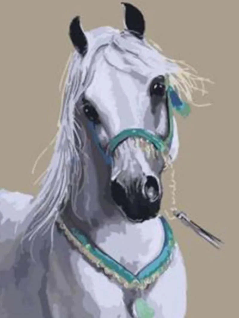 NORIMPEX PROMO Malowanie po numerach Koń biały arab 40x50cm 5577
