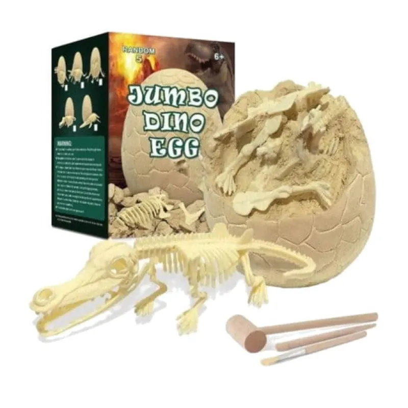 NORIMPEX PROMO Skamielina jajo szkielet dinozaura 1009968