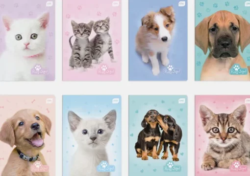 INTERDRUK Zeszyt A5 16k kratka UV Kolekcja puppy sign p20 mix cena za 1 szt